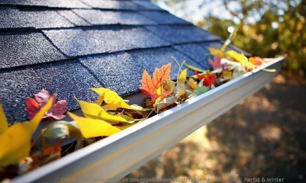 Seizoensgebonden rioolproblemen Woerden: herfst & winter