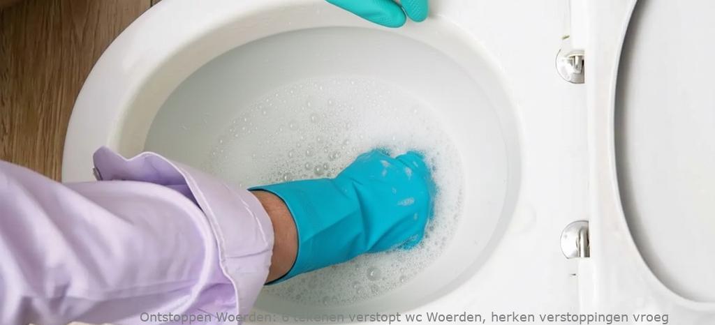 6 tekenen verstopt wc Woerden, herken verstoppingen vroeg